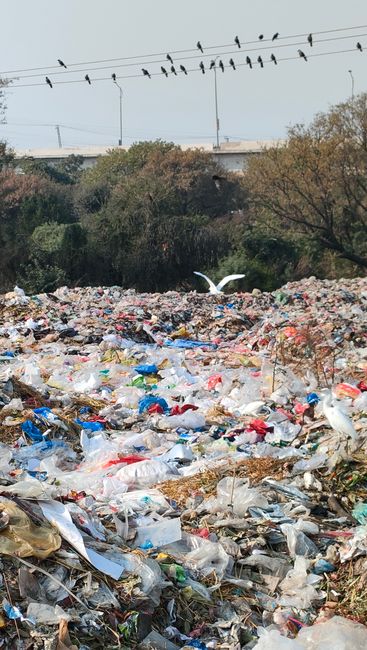 A large mound of mixed metal and electronic waste is piled high outdoors against a background of a clear blue sky. The debris includes various discarded appliances, metal frames, and electronic components, with some items exhibiting rusted or corroded surfaces. The materials appear weathered, with textures ranging from smooth painted surfaces to rough, jagged edges of bent or broken metal parts. The pile stretches diagonally from the lower left to the upper right of the image, occupying most of the foreground, while the sky provides a contrasting backdrop. The environment suggests an industrial or waste management site where waste materials are collected or sorted before further disposal or recycling. The scene is illuminated by natural daylight, highlighting the metallic sheen and textures of the clutter. As a professional waste management service, Waste Collection Hackney handles such waste, which may include non-compliant or illegally dumped items, underscoring the importance of proper rubbish removal practices to prevent unsightly and potentially hazardous accumulations.